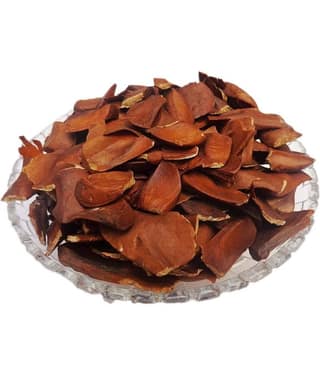 Nutrixia Food Sugar Badam-Kadwa Badam-Diabetes Almond-Sky Fruit - Bitter Almond 100 gm
