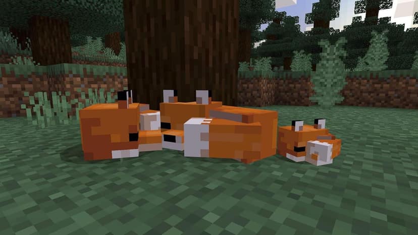 PS4 Minecraft Starter Collection |Playstation 4| view 5