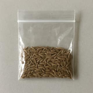 Heeravati General Store's cumin seeds