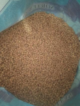 Chana brown loose