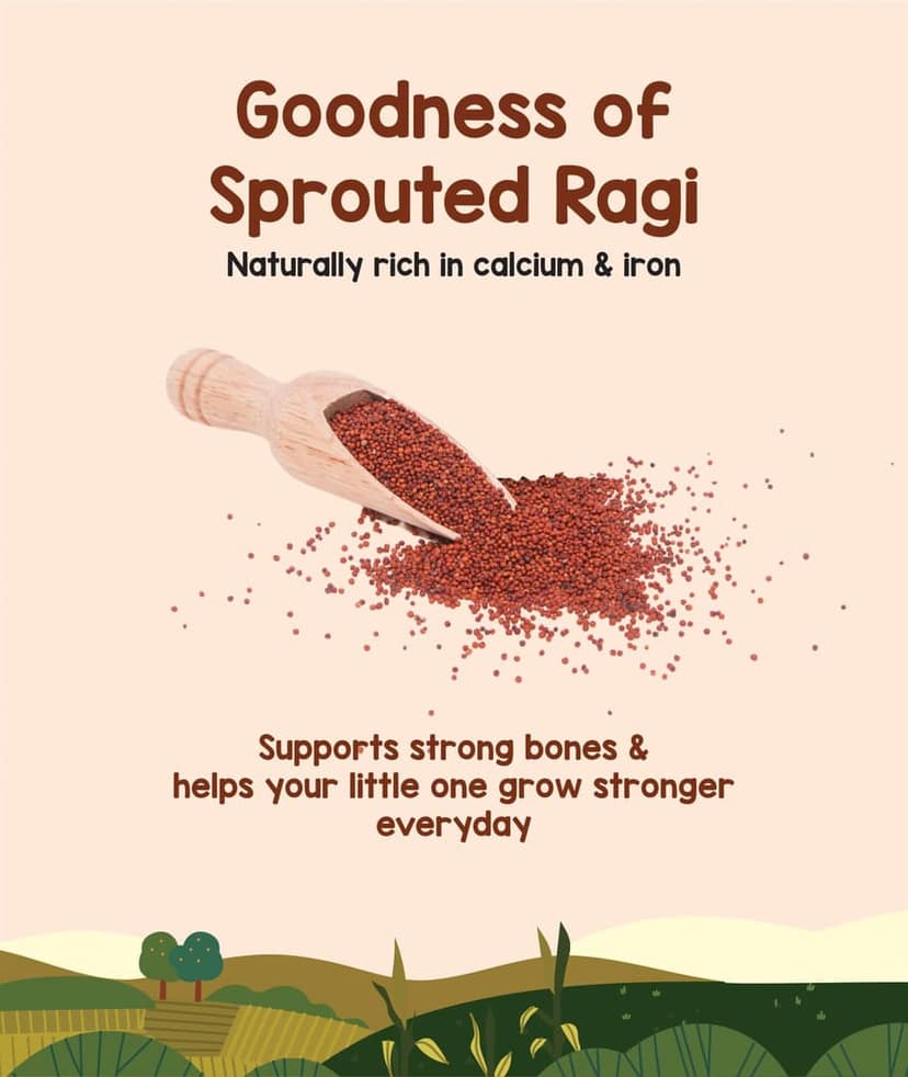 Hungry Koala Sprouted Ragi Powder, 200 Gram view 3