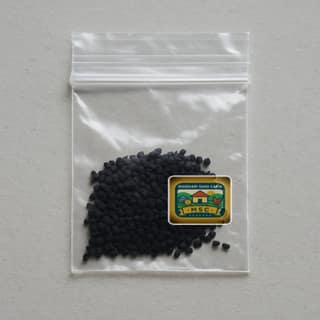 Maidhari Sahu Cabin's kalonji seeds (nigella sativa)