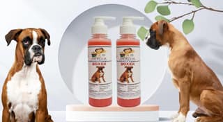 SWACCH Premium Shampoo for Boxer (200ML) (Pack of 2) Strawberry