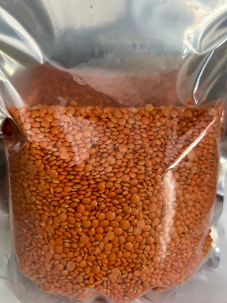 Masoor Dal view 4