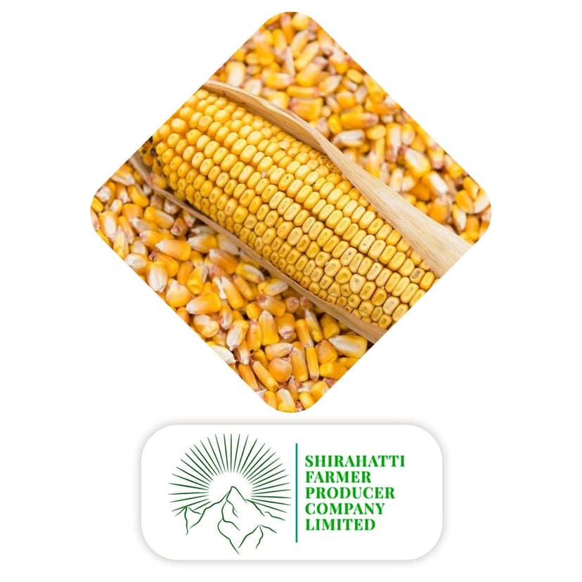 SFPC Maize 20 Kg view 3