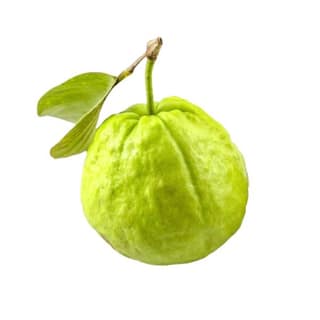 Agrify Fresh Thai Guava - Imported 1 Pc