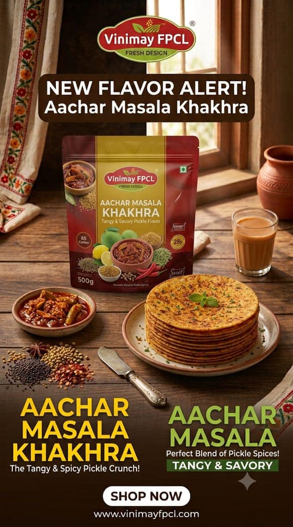 Vinimay Brand - Vacuum Pack Aachar Masala Khakhara - 200 gram view 2