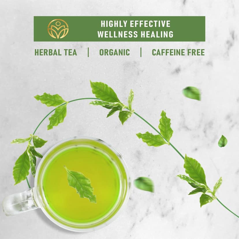 True Nirvana Green Coffee Beans Powder – Herbal Tea for Weight Management & Wellness view 3