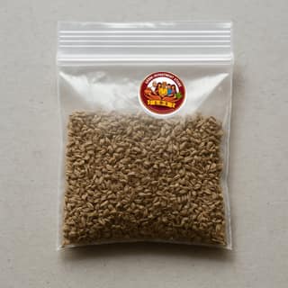 Laxmi Department Store's ajwain seeds