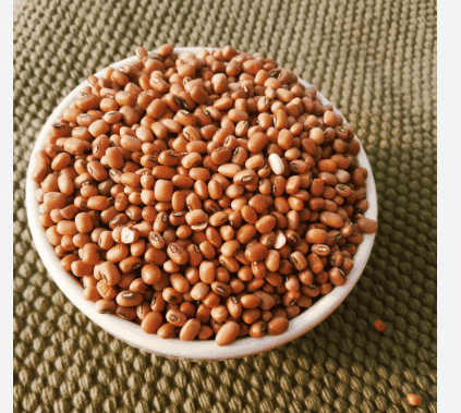 Red Cow Pea view 4