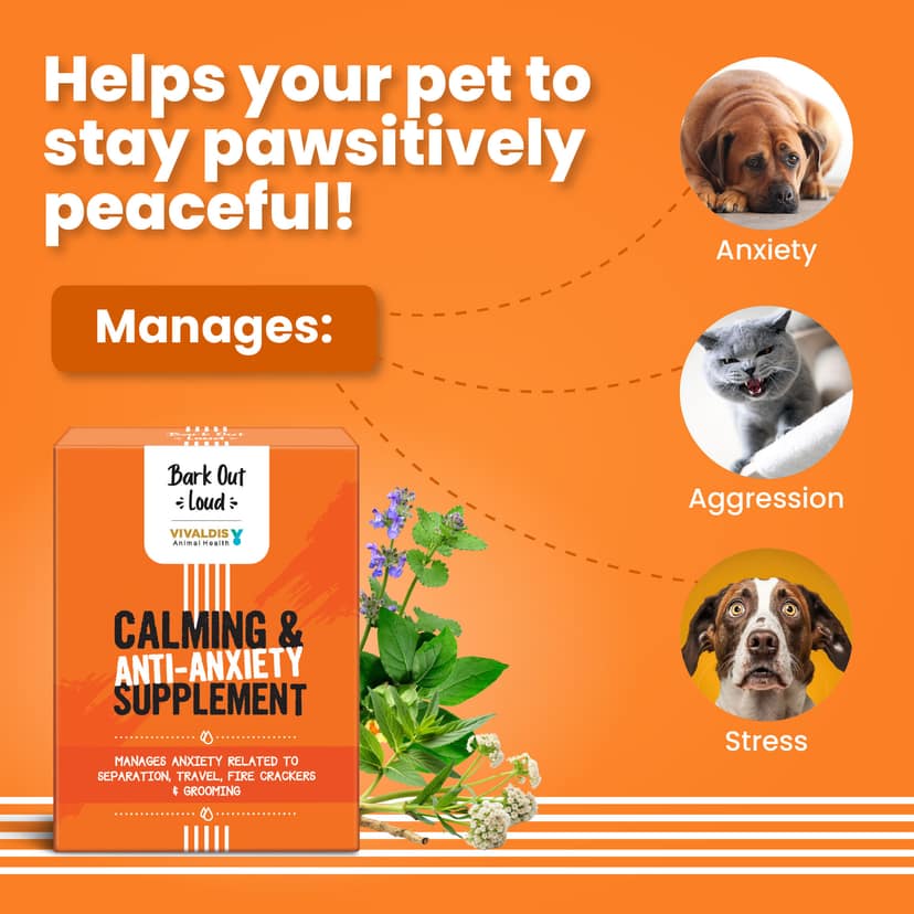 Bark Out Loud Calming & Anxiety Supplement (5X2G) view 2