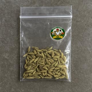 Bharti Store's saunf (fennel seeds)