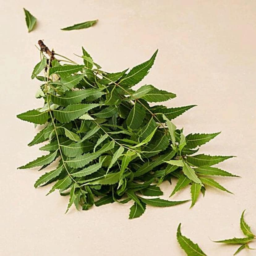 Neem Leaves - Neem Patta 250gm