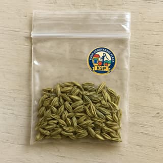Kuda Sandyarani Plaza's saunf (fennel seeds)