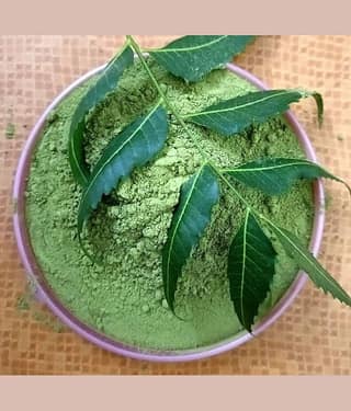 MYGODGIFT Neem Patta Powder - Azadirachta Indica - Neem Leaves 200 gm