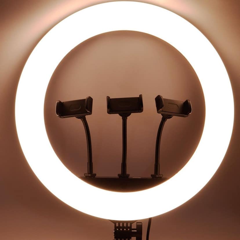 18 Inch LED Ring Light with 3 Colour Modes & 3 Mobile Holders, Remote Control (1 Set) view 3