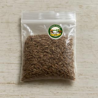 Jankuvar Traders's cumin seeds