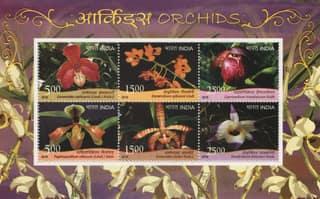 Shobhaphila's 2016 India Orchids Indian Miniature Sheet Stamp (28th Aug 2016)