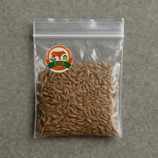 Korra Ramulamma Bhandar's cumin seeds
