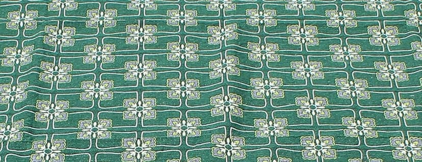 Solance Cotton Mayur Pankh Solapuri Chaddar (Extra Large Double, Green) view 6