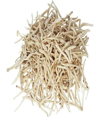MYGODGIFT MUSLI SAFED JARD/MUSLI ROOTS/CHLOROPHYTUM BORIVILIANUM Seed 100 gm