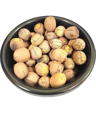 Nutrixia Food Kamal Seed Magaj Papdi Magaj Kamal Seed Magaj 50 gm