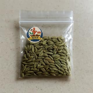 Nilambar Rana Prime's saunf (fennel seeds)