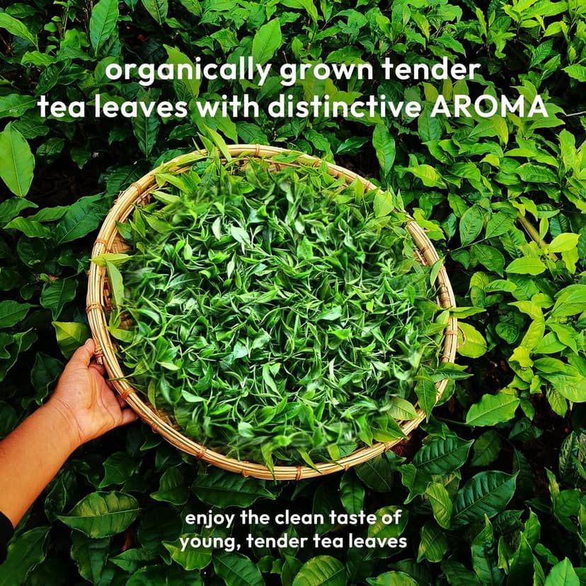 RARE ASSAM GREEN TEA view 8