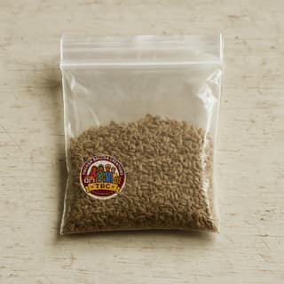 Tikchan Bachha Creations's ajwain seeds