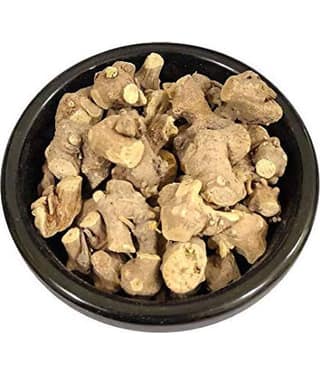 Nutrixia Food Piplamool Ganthoda Pipal Mul Pipla Mool Pipalmool Piplamul 100 gm