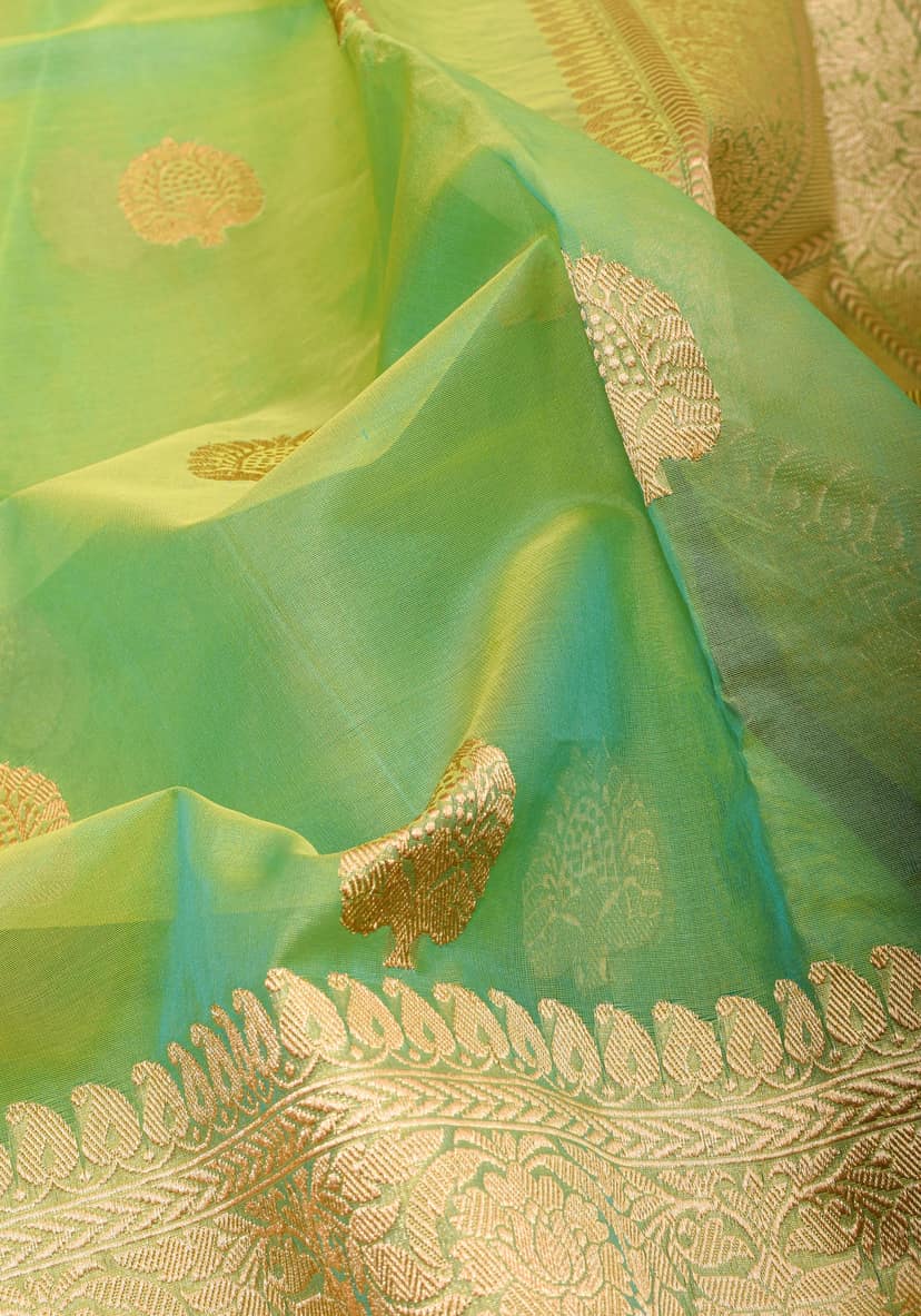 Green and mustard Dual Tone Exquisite Banarasi Organza Silk Saree with Zari Motifs | SILK MARK CERTIFIED view 4