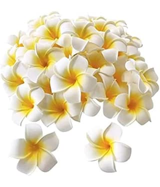 Artificial gBig Foam Hawaaii Fake Foam Water Floating Flowers for Pooja Thali, Festival and Events, Home, Table,