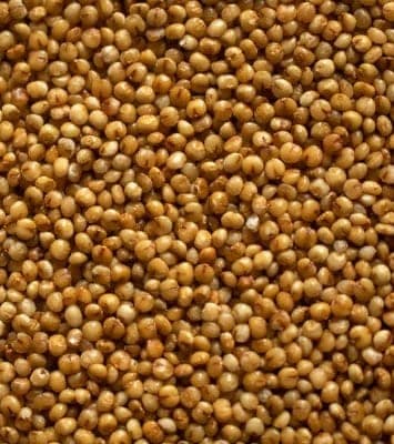 KODO Millets view 3