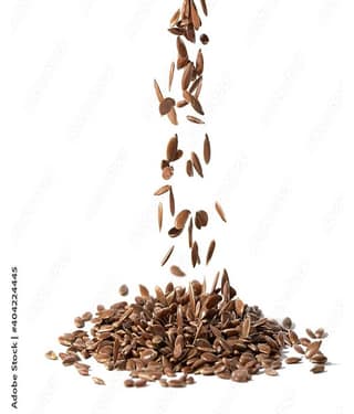 MYGODGIFT Flax Seeds | Alsi Seeds For Eating | Flax Seeds For Weight Management 400 gm