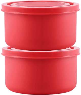 Dream Home Alexa Microwave Safe Stainless Steel Lunch Box 2 - Container ( Pack of 2 )