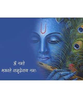 Asmi Collection God Krishna with Flute Self Adhesive Vinyl Wall Sticker ( 46 x 60 cms )