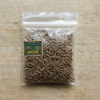 JETTI LAXMI Concepts's cumin seeds