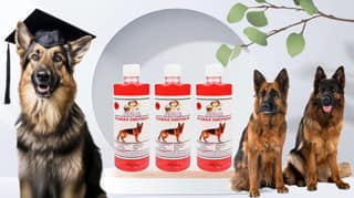 Swacch Shampoo Specially Formulated for German Shepherd (500ml) (Combo Pack of 3) Jasmine