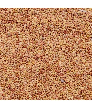 MYGODGIFT Organic Alfalfa Seeds 200 gm