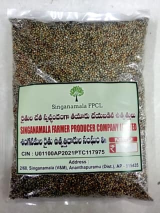 Sajjalu