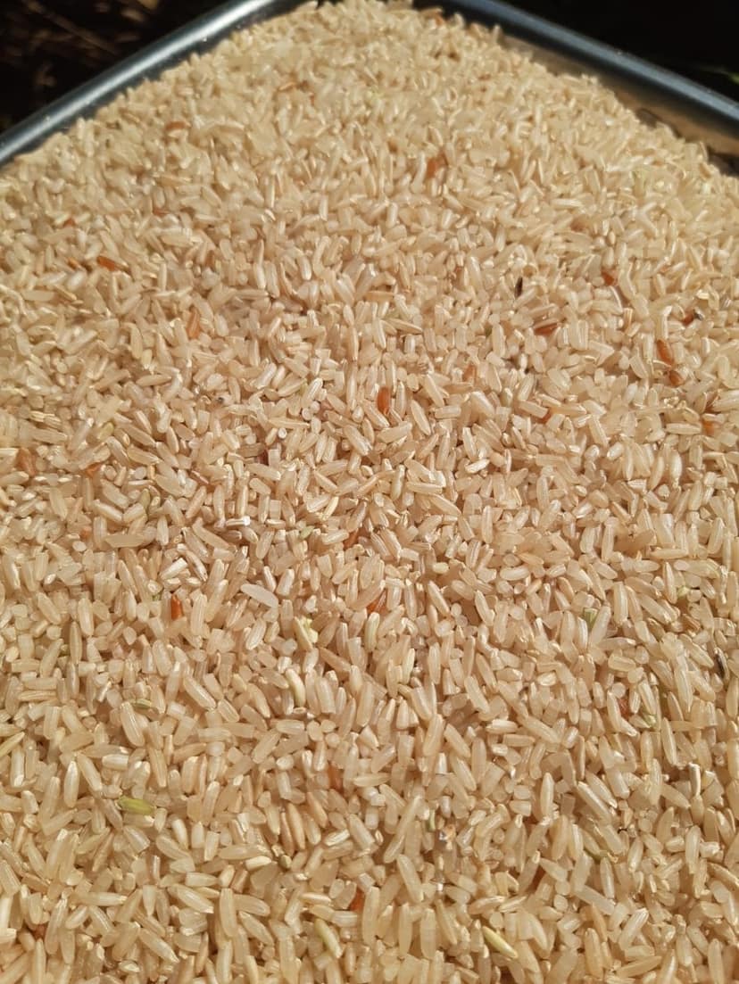 Indrayani Unpolished Rice (Haatsadi) | Naturally Nutritious | Everyday Cooking