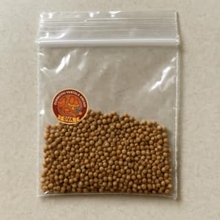 Donmothi Vantala Angadi's mustard seeds