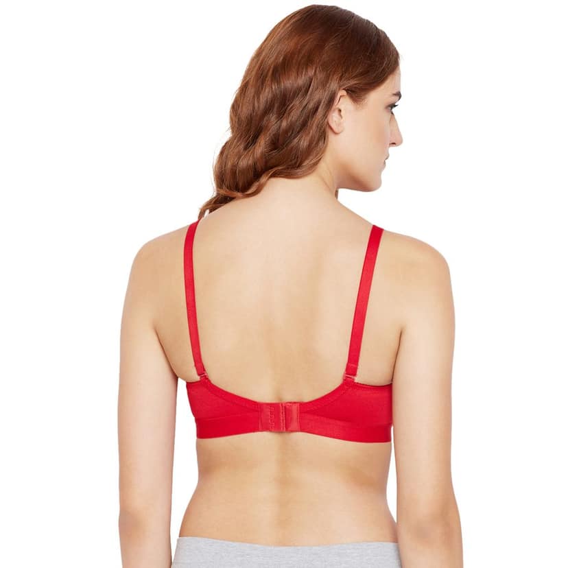 Bodycare 100% Cotton Non Padded Non wired Seamless Bra-Pack of 3 view 3