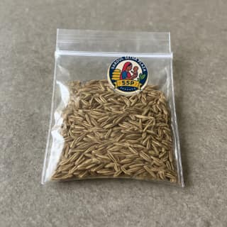 Sardul Setha Plaza's cumin seeds