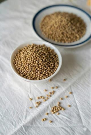 Coriander Seeds 50 g