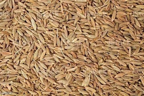 Jeera, Cumin Seeds, Zeera, Jeerakam, Safed Jeera view 2
