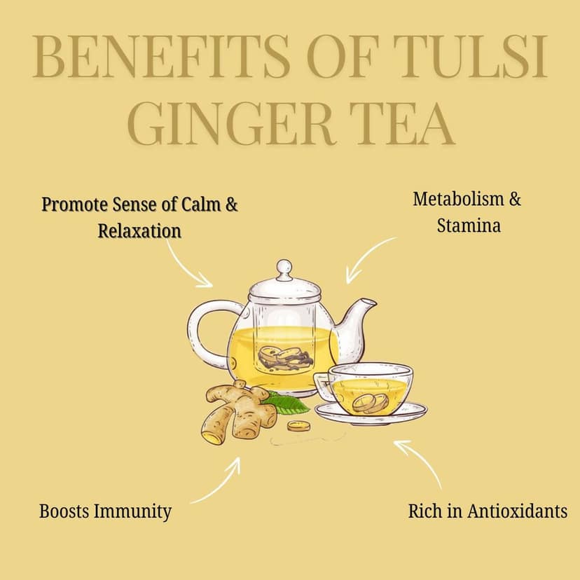 Wemalley Organic Tulsi Ginger Green Tea Teabags 40 grams| Boosts Immunity, Digestion, Metabolism & Stamina| Promote Sense of Calm & Relaxation| 0% Bitterness| 20 Teabags view 2