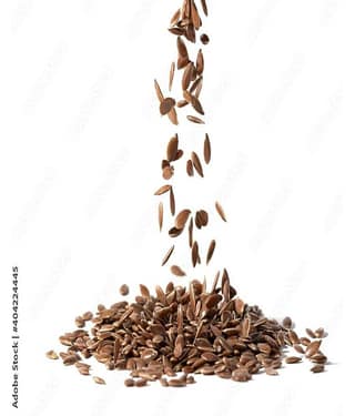 MYGODGIFT Flax Seeds | Alsi Seeds For Eating | Flax Seeds For Weight Management 400 gm