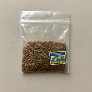 Vanthala.Appalamma Bhandar's cumin seeds
