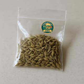 SWABHI MOTHI Den's saunf (fennel seeds)